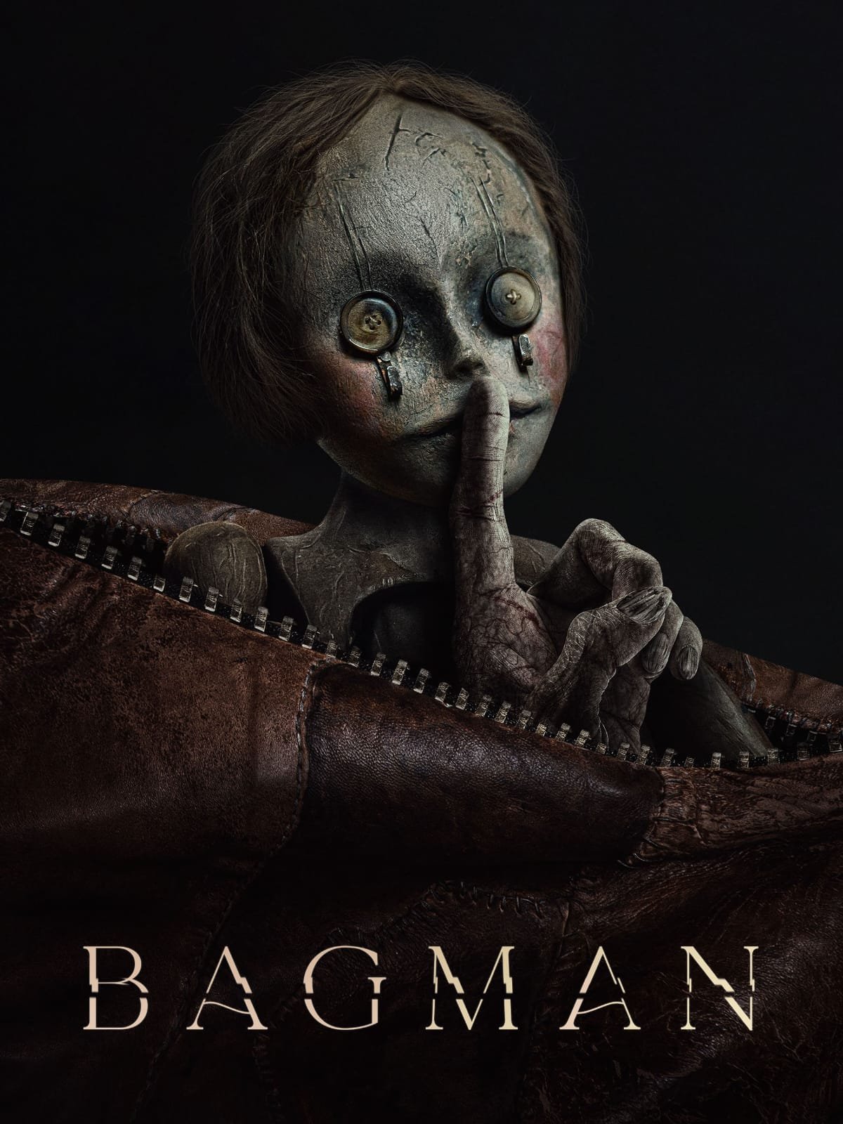Free Bagman (2024) Dual Audio [Hindi – English] Full Movie HD ESub – FILMYFLY